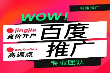百度竞价推广托管：成功案例背后的故事